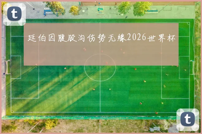 廷伯因腹股沟伤势无缘2026世界杯